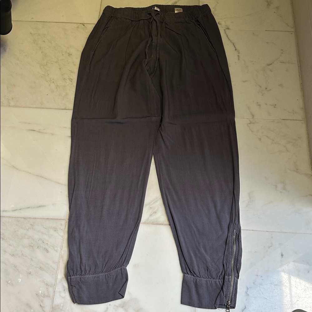 Splendid Gray Drawstring Pants with Zipper Details